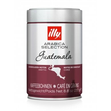 Kavos pupelės Illy Guatemala, 250 g